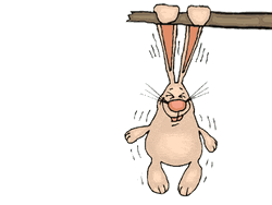 Hold On It's Almost Friday Bunny Animation GIF
