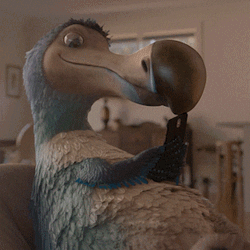 Hold Up Dodo Read His Message First GIF