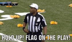 Hold Up Flag On The Play GIF