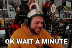 Hold Up Wait A Minute That Was Crazy GIF