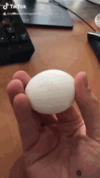 Holding A Cracking Egg GIF