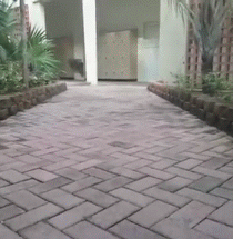 Holding Hands Trick Self Love GIF