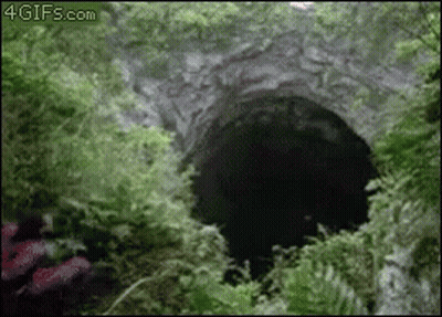 Hole In A Forest GIF