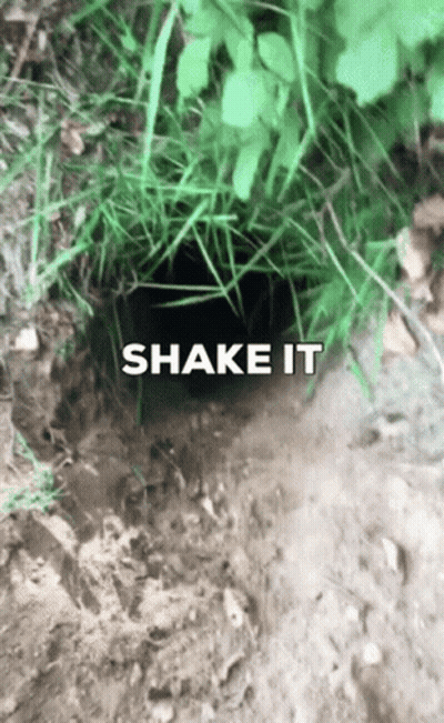 Hole In The Ground Saying Shake It GIF