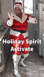 Holiday Spirit Activate Christmas Meme GIF