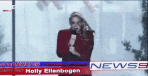 Holly Ellenbogen Is A News Anchor For The Stormwatch Channel GIF