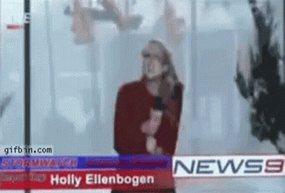 Holly Ellenbogen News Anchor On News 9 GIF
