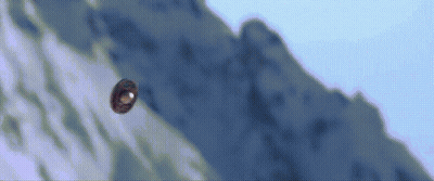 Hollywood Freak GIF