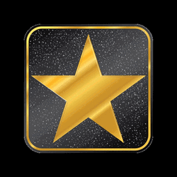 Hollywood Squares Munich Gold Star GIF