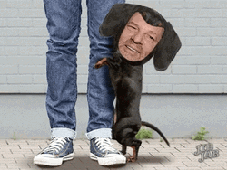 Hollywood Star Dry Hump Meme GIF
