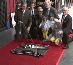 Hollywood Walk Of Fame Jeff Goldblum GIF