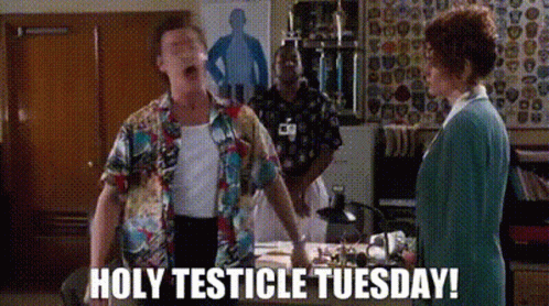 Holy Cow Tuesday GIF