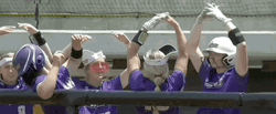 Holy Cross Athletics Mizzou GIF