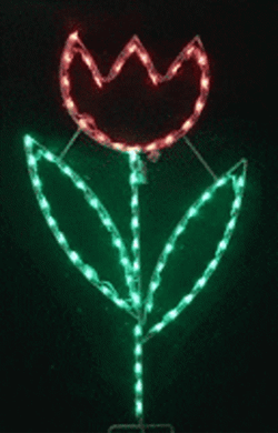 Holy Lighted Outdoor Decorations Saturday GIF