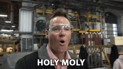 Holy Moly Amazing Wow GIF