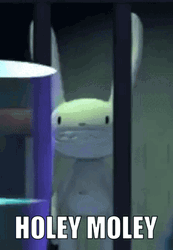 Holy Moly Holey Moley GIF