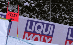 Holy Moly Meme Ice Slide GIF