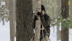 Holy Moly Meme Tree Trap GIF