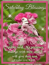 Holy Saturday Blessings Nature Theme GIF