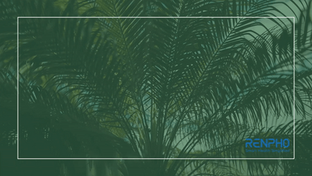 Holy Saturday May Easter Brings Joy GIF