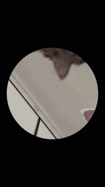 Holy Shit It's Quagsire Saturday Cartoon GIF