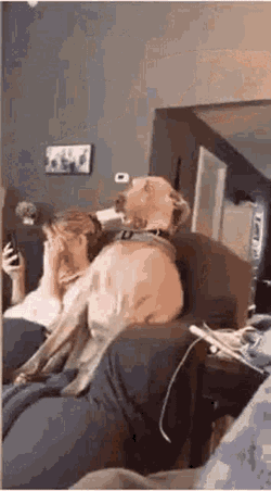 Holy Shit Shocked GIF
