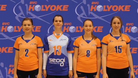 Holyoke Volleyball Teamwork Meme GIF