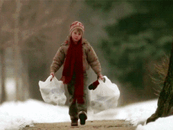 Home Alone Kevin's Groceries Fell  GIF