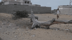 Home Alone Man Funny Running GIF