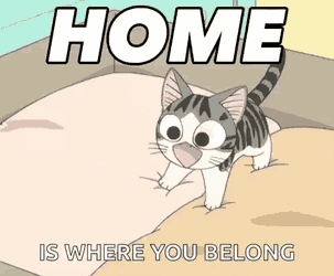 Home Cat GIF