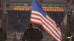 Home Of The American Razorbacks GIF