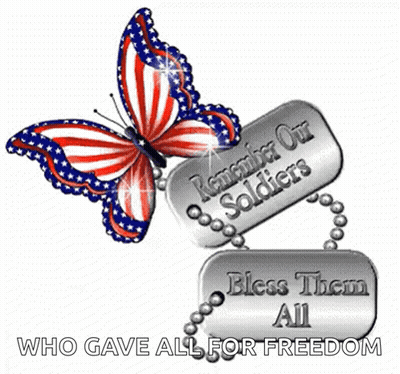 Home Of The Free Because Of The Brave GIF