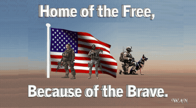 Home Of The Free Because Of The Brave Poster GIF