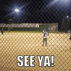 Home Run See Ya GIF