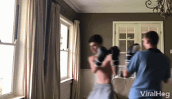 Home Sparring Knockout Fail GIF