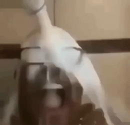 Homelander Milk Bathing In Fresh Milk GIF