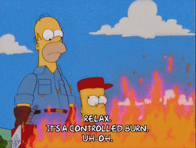 Homer And Bart Simpson Before Burning Field GIF