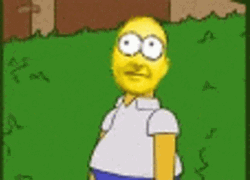 Homer Bush Simpson Meme Look GIF