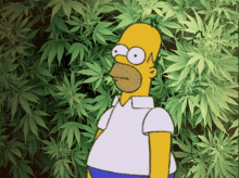Homer Bush Simpson Weed GIF