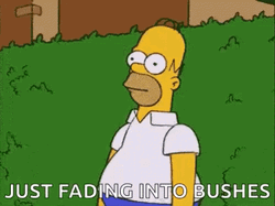 Homer Bushes Just Fading Into Bushes GIF