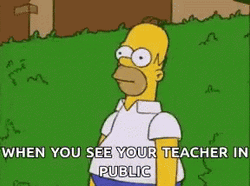 Homer Bushes See Your Teacher In Public GIF