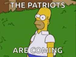 Homer Bushes The Patriots Are Coming GIF