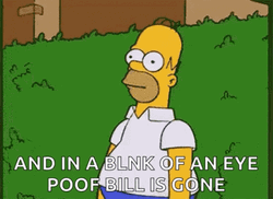 Homer Disappearing Eye Poof Bill Is Gone  GIF