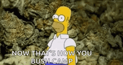 Homer Disappearing Now Thats How GIF