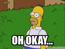 Homer Disappearing Oh Okay GIF