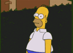 Homer Disappearing On Dark Plants GIF