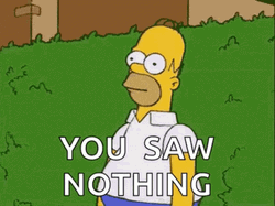 Homer Hiding And You Saw Nothing GIF