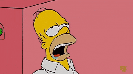 Homer Homer Simpson GIF
