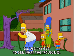 Homer Looking What Is Inside Of Fire Hose GIF