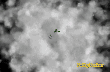 Homer Out Of Smoke Homer Smoke GIF